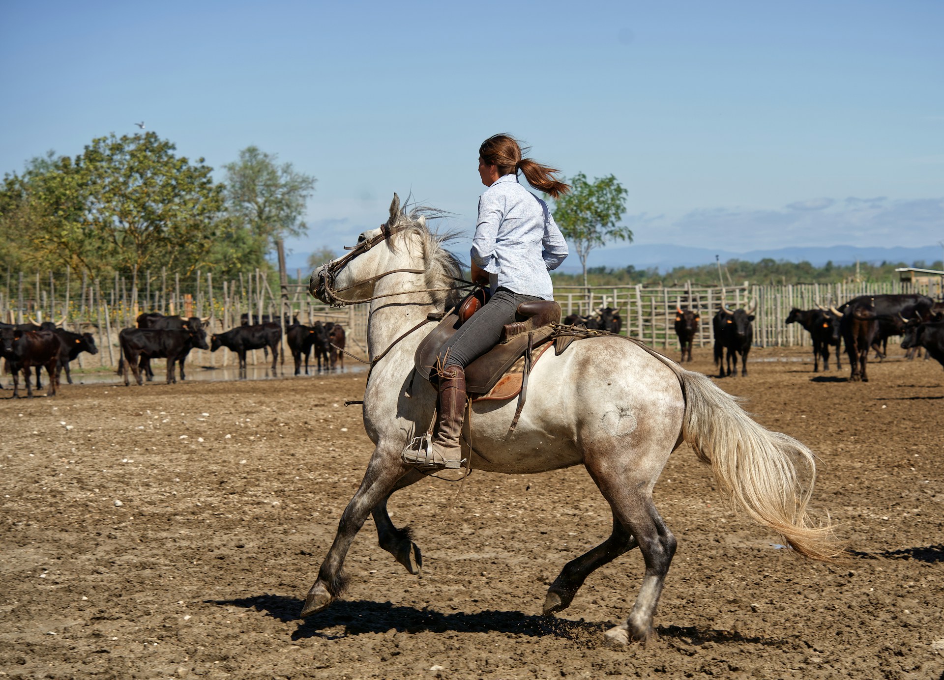 Gardiane à cheval en Camargue près d'Aigues-Mortes — balades et manades à découvrir autour du bistrot La Pôse