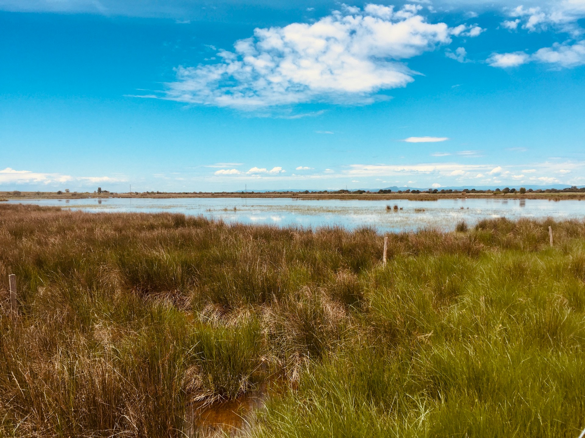Marais et étangs de Camargue près d'Aigues-Mortes — nature préservée à découvrir lors d'une étape au bistrot La Pôse